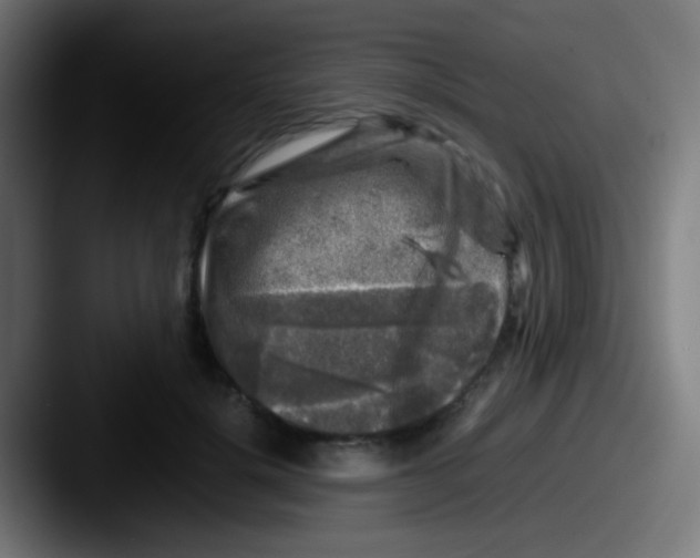 X0000087620652200705181314