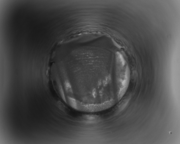 X0000087620654200705181314