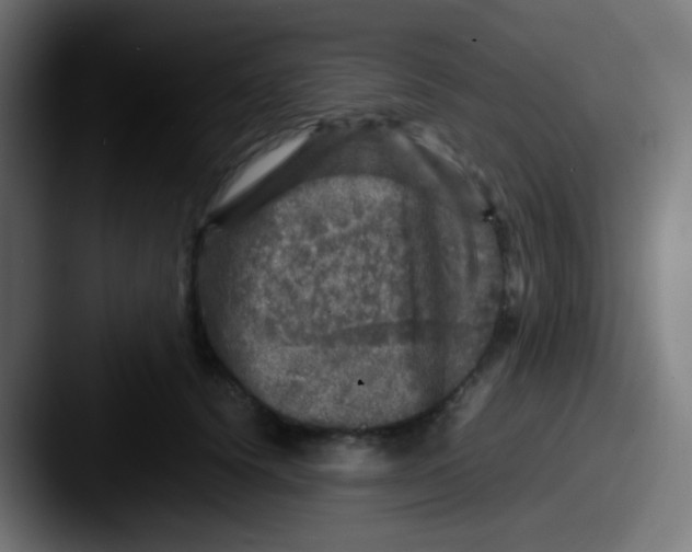 X0000087620656200705181314