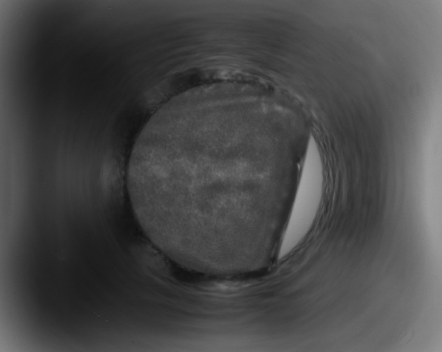 X0000087620657200705181314