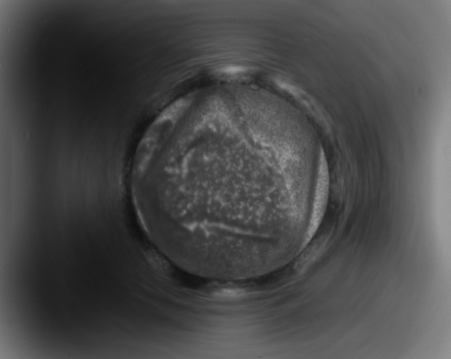 X0000087620658200705181314