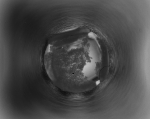 X0000087620659200705181314