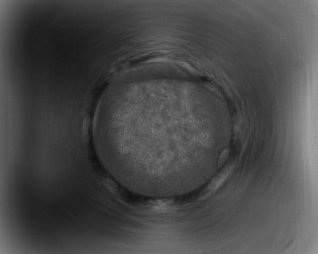 X0000087620660200705181314