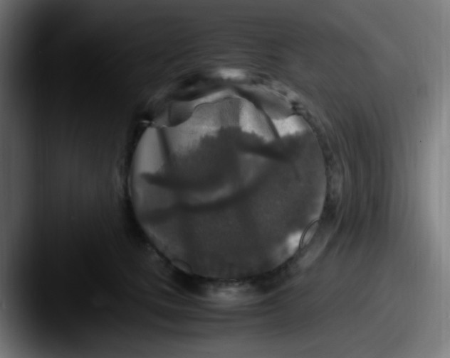 X0000087620661200705181314