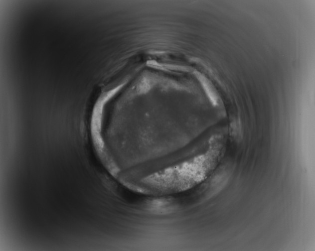 X0000087620662200705181314