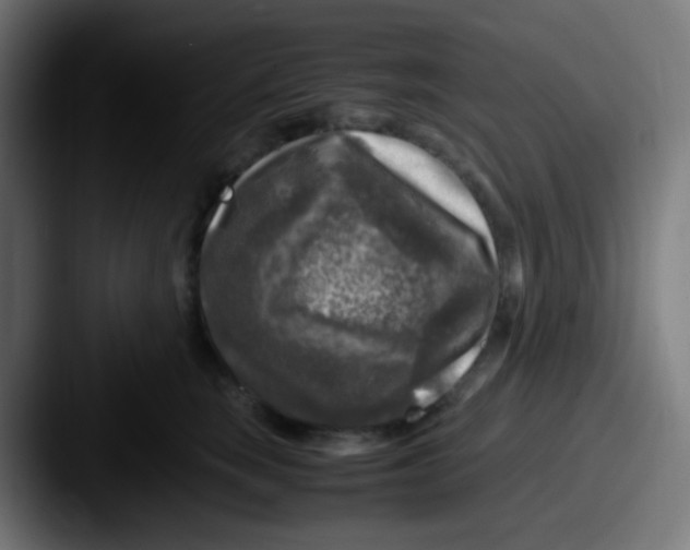 X0000087620663200705181314