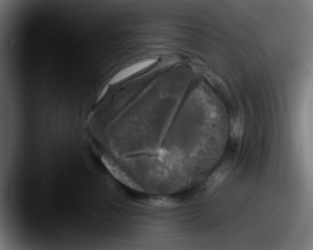 X0000087620666200705181314
