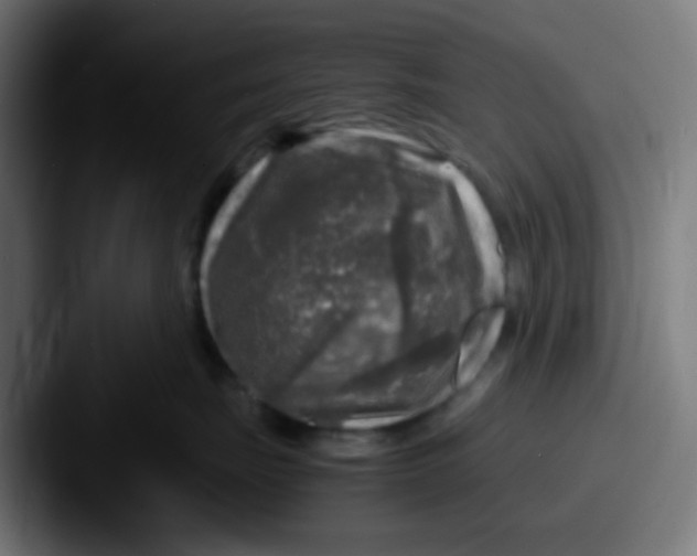 X0000087620671200705181314