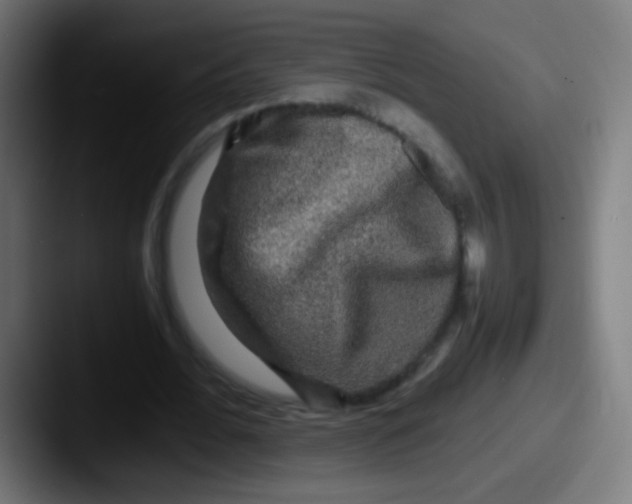 X0000087620676200705181313
