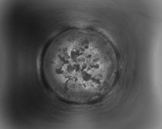 X0000087620679200705181313