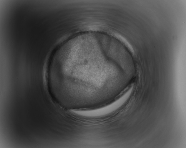 X0000087620680200705181313