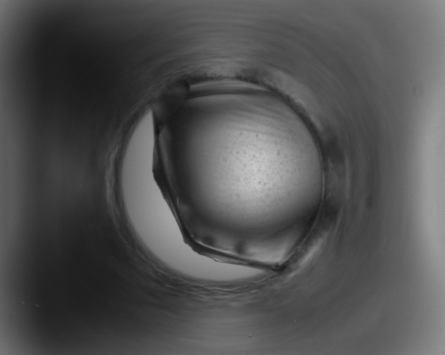 X0000087620681200705181313