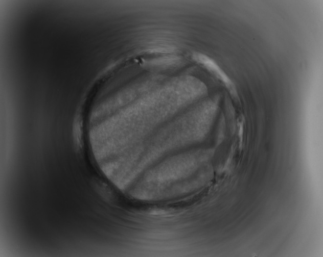 X0000087620684200705181313