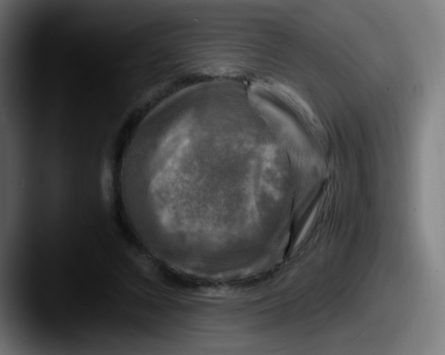 X0000087620688200705181313