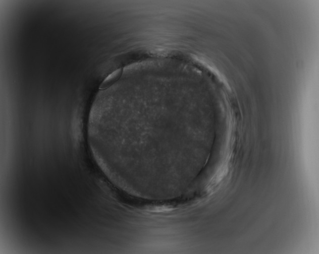 X0000087620689200705181313