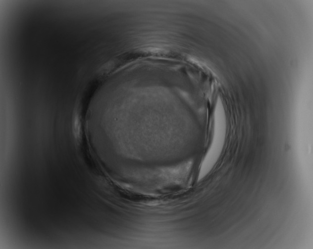 X0000087620692200705181313