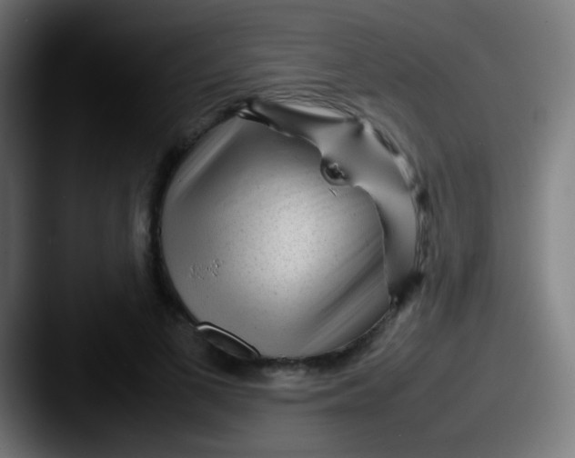 X0000087620693200705181313