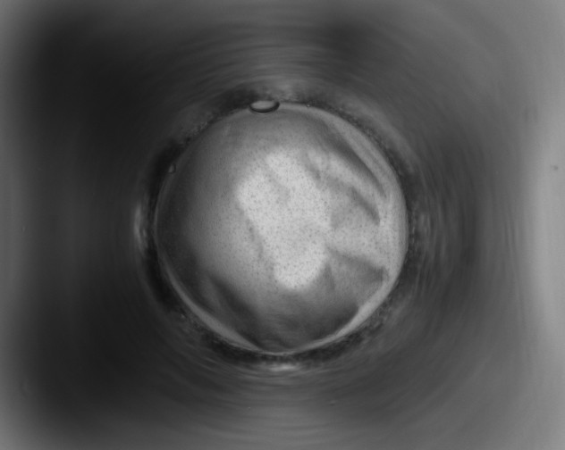 X0000087620694200705181313