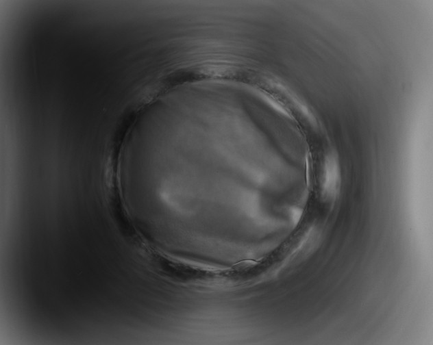 X0000087620696200705181313
