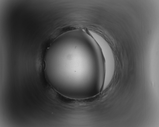 X0000087620697200705181313