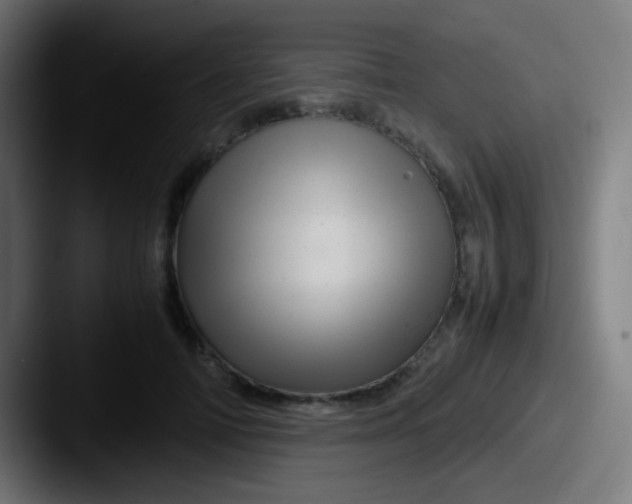 X0000087620698200705181313