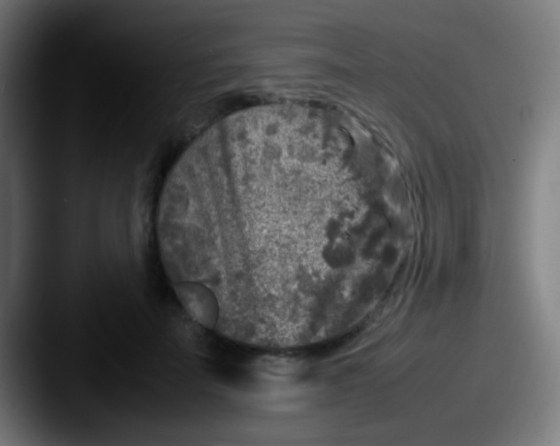 X0000087620699200705181313