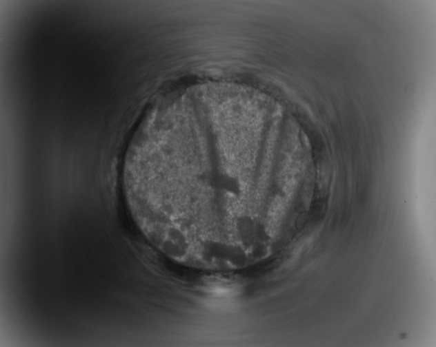 X0000087620703200705181313