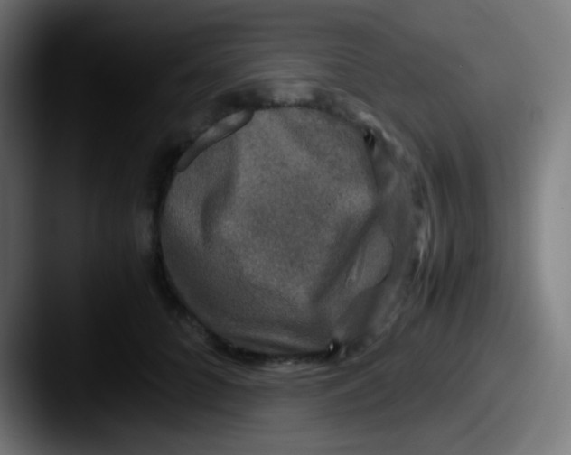 X0000087620704200705181313