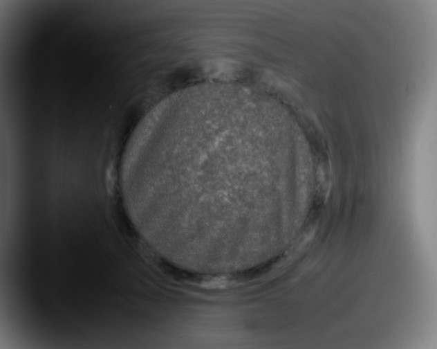 X0000087620705200705181313