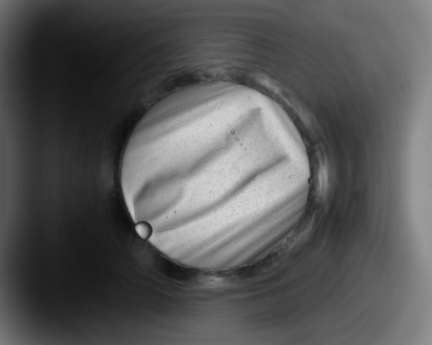 X0000087620706200705181313