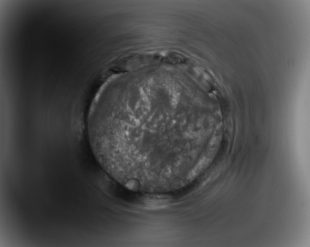 X0000087620707200705181313