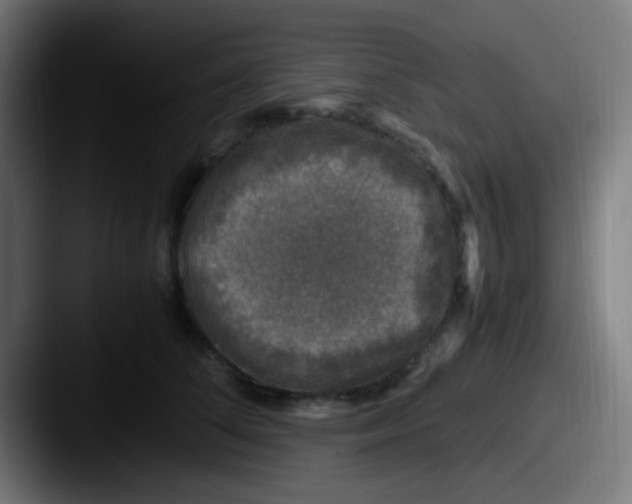 X0000087620708200705181313