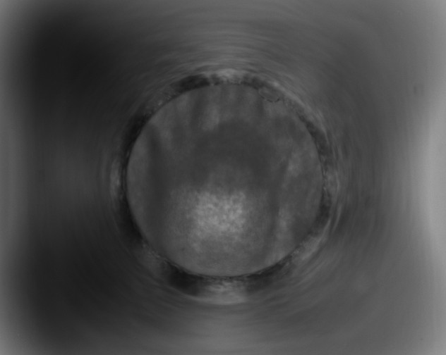 X0000087620709200705181313