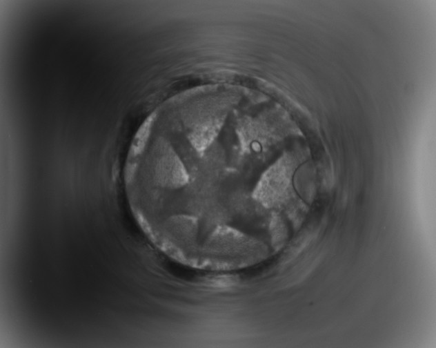 X0000087620711200705181313