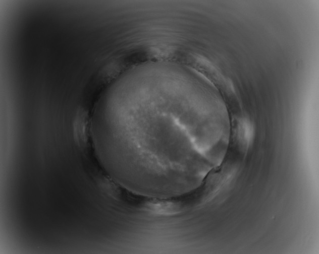 X0000087620712200705181313