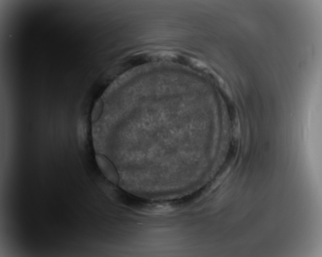 X0000087620715200705181313