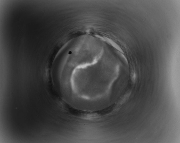 X0000087620716200705181313