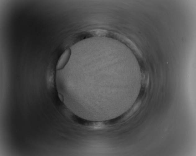 X0000087620717200705181313