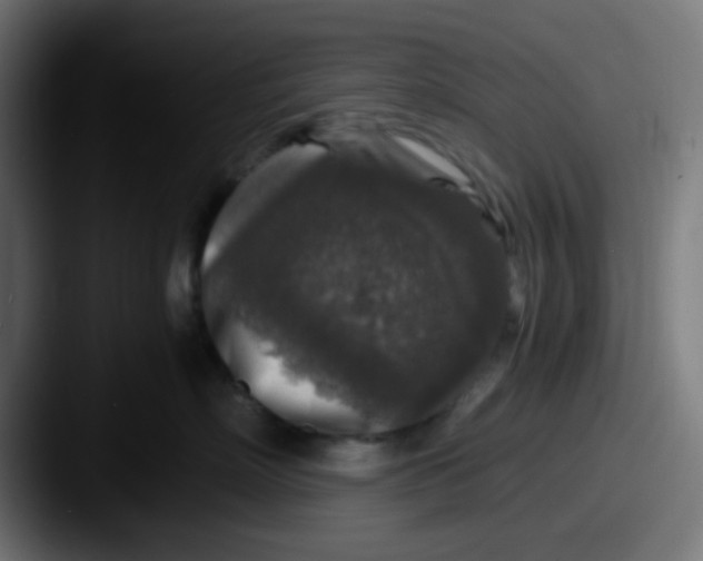 X0000087620718200705181313