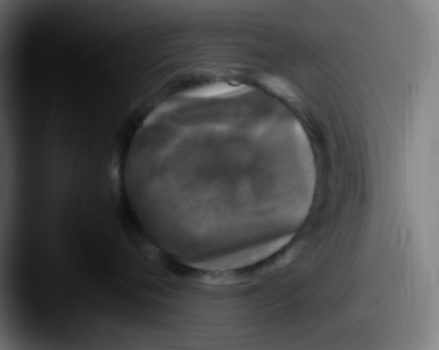 X0000087620720200705181313