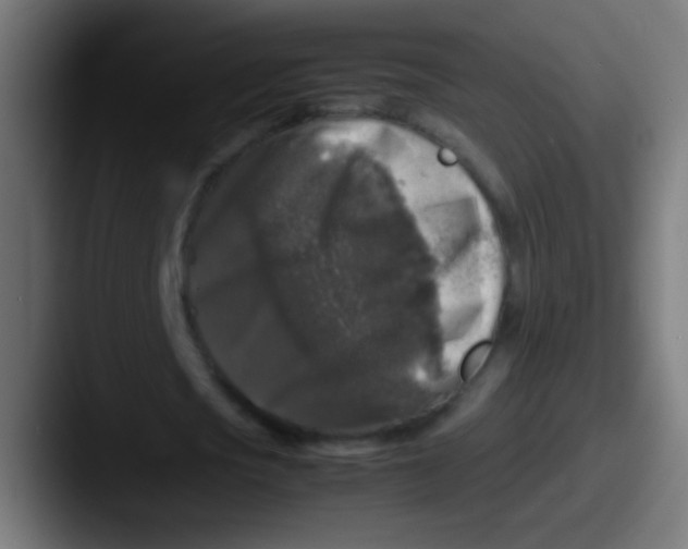 X0000087620721200705181312