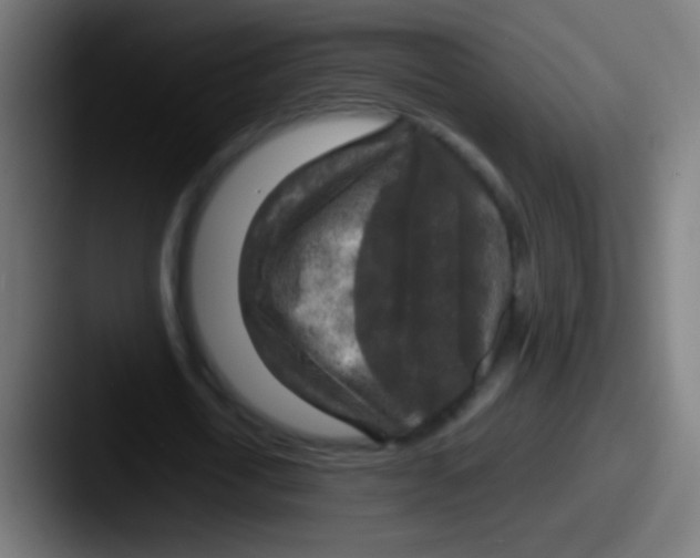 X0000087620722200705181312