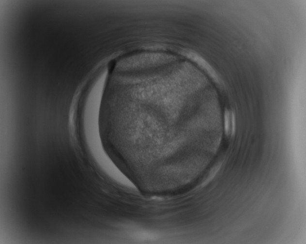 X0000087620723200705181312
