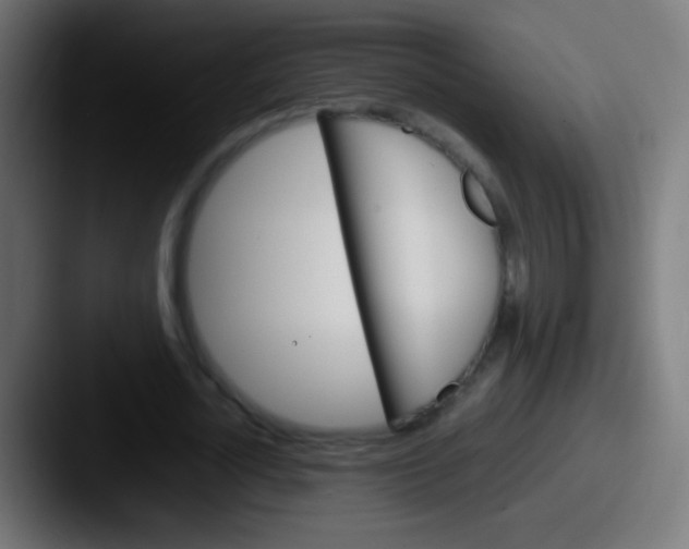 X0000087620724200705181312