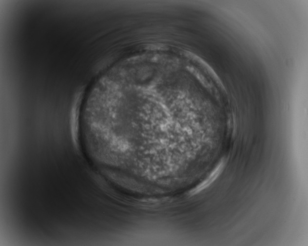 X0000087620725200705181312