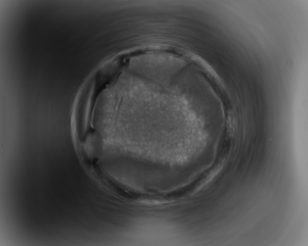 X0000087620726200705181312