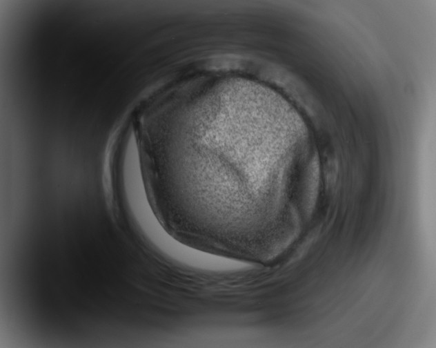 X0000087620727200705181312