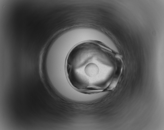 X0000087620728200705181312