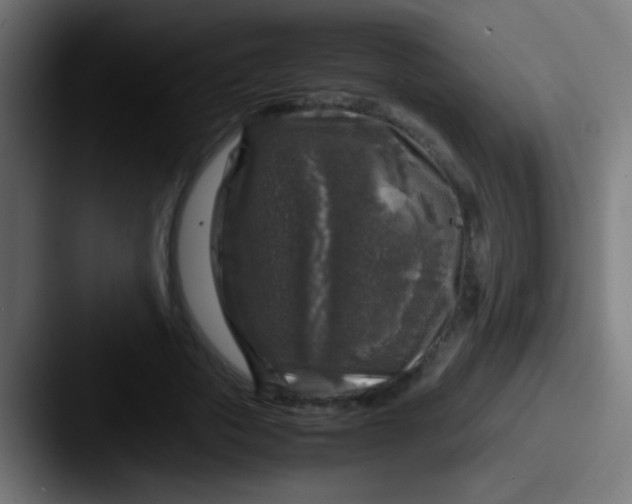 X0000087620729200705181312