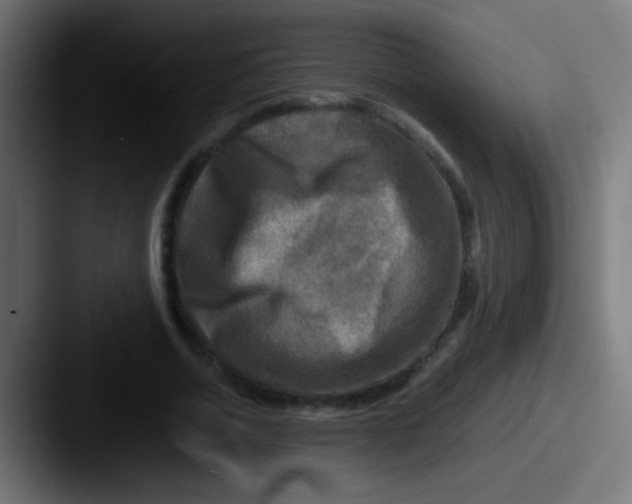 X0000087620730200705181312